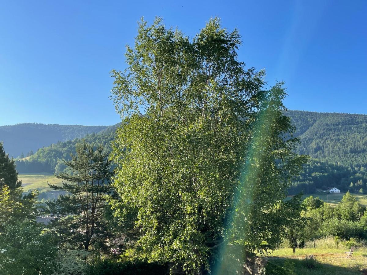La Maison Des Douceurs Holiday home Bussang